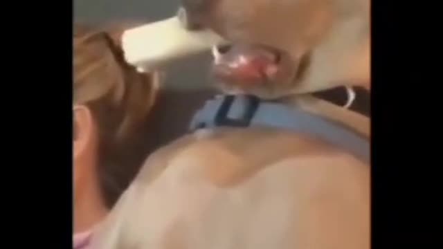 O que será que ele está assistindo??👀