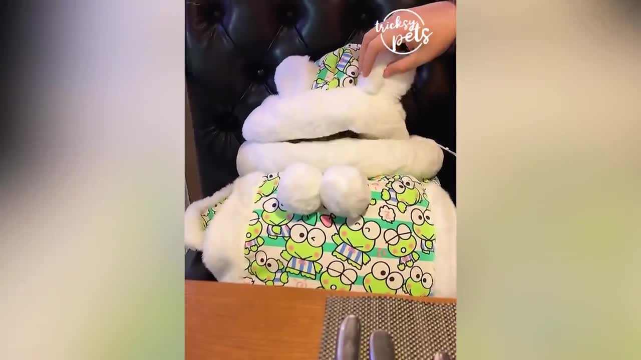 Try Not To Laugh 🤣🤣