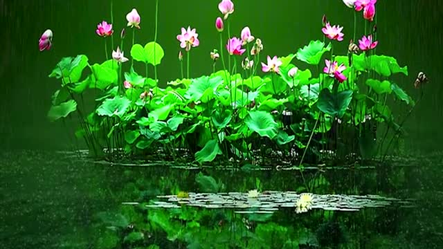 Be a person first, then do things, only by being a person in place can you be successful