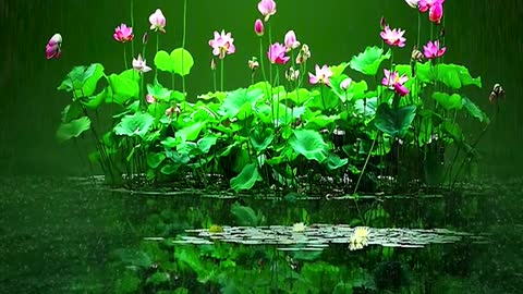 Be a person first, then do things, only by being a person in place can you be successful