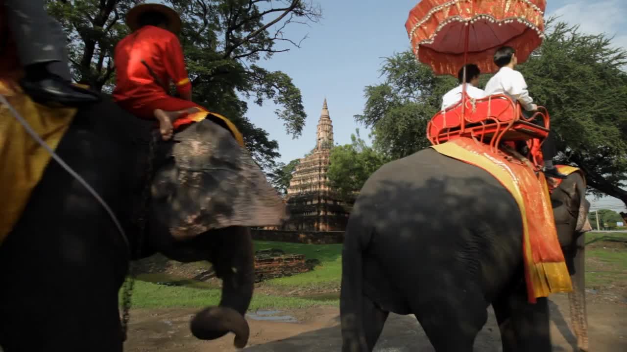 WS Elephants carrying tourists Ayutthaya, Thailand