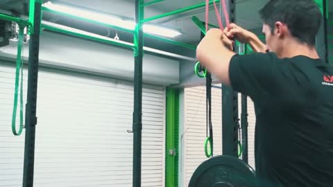 Lesson 7:Animal Strength - Triceps