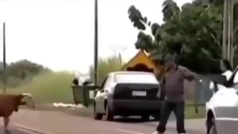 GOAT for the Win