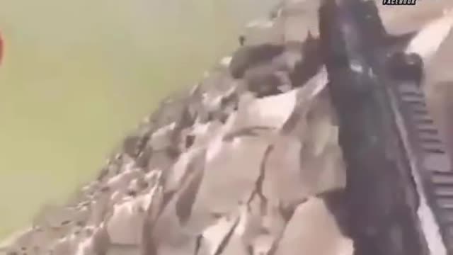 Something about this clip gives me hope 🙏