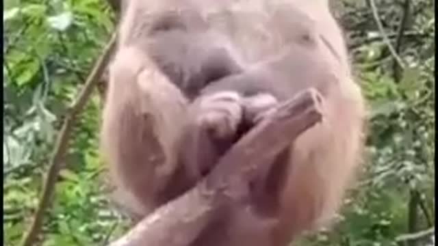 you can't stop laughing
