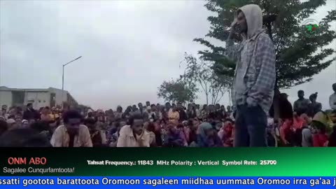 ONM-ABO Sadaasa 22-2024 Hiriira Sagalee Uummata Oromoof Ta'uuf Ba'ame