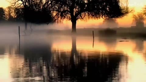 Relaxing Music for Sleep - Sleep Music, Insomnia & Difficulty focusing and stress