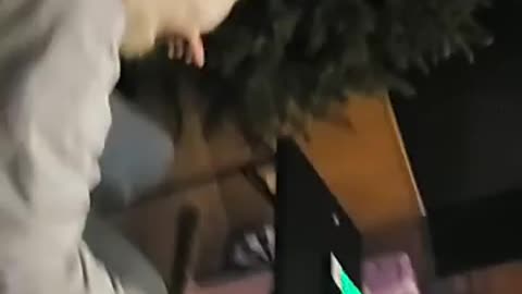 Skip and the vr