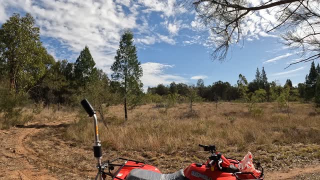 Trail Cam 3