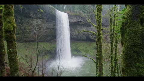 Amazing Waterfall in the Forest