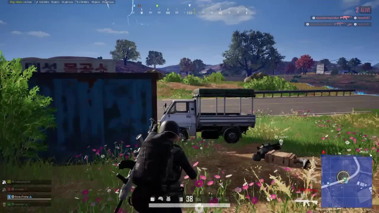 Wiped a Squad and Won a Chicken Dinner on PS4 slim