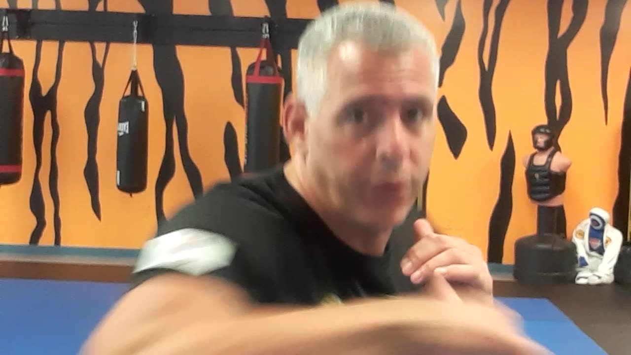 Kickboxing Techniques