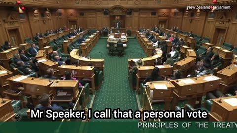 Wild scenes as politician erupts into a haka at NZ Parliament