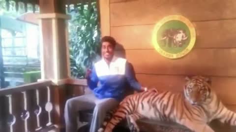 Tiger Hilariously poses for picture click.. Amazing reaction by Boy