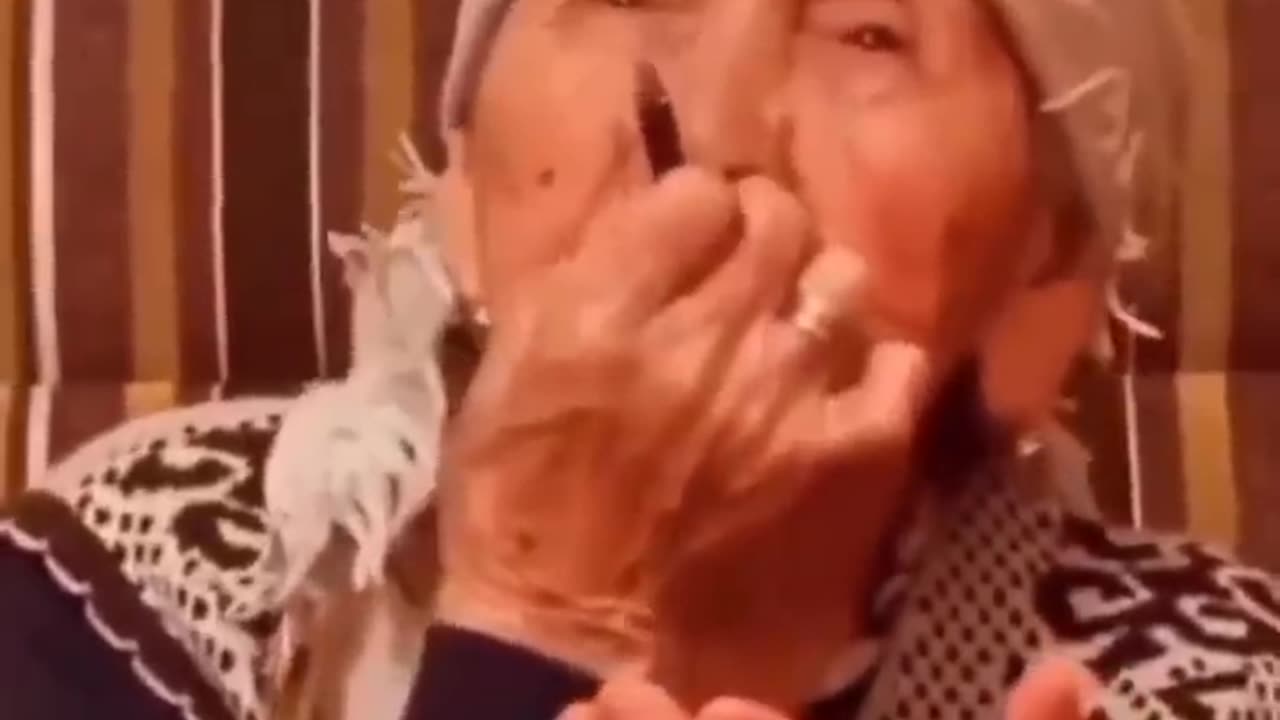 A compilation of funny videos February 2024😆😅😂🤣 | Funny-videos Hub