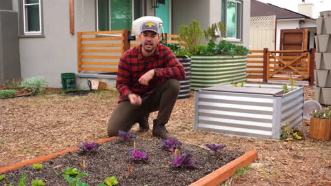 8 most common beginning garden mistakes
