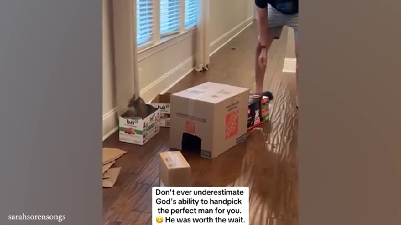 cats lovers