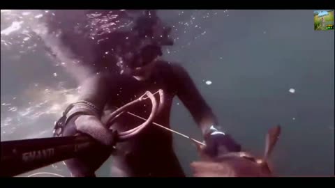 Fishing under the sea
