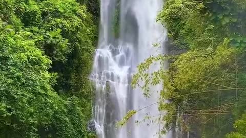 Beautiful nature - waterfalls in Hawaii