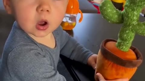 Funny 🤣 baby toys
