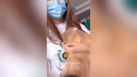 Funny Animal Videos 2023 🥰 - Funniest Dogs and Cats Videos 😁
