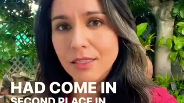 Tulsi Gabbard on Corruption in Ukraine