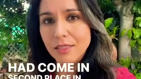 Tulsi Gabbard on Corruption in Ukraine