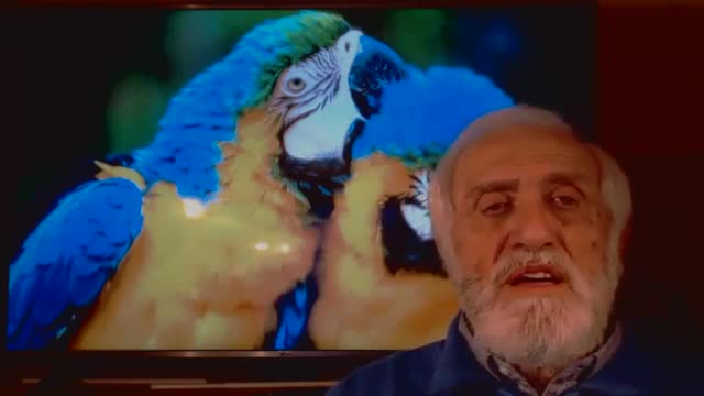 2017.02.04-Eliseo.Bonanno-CREAZIONE, NUMERO D'UOMO E DELLA BESTIA