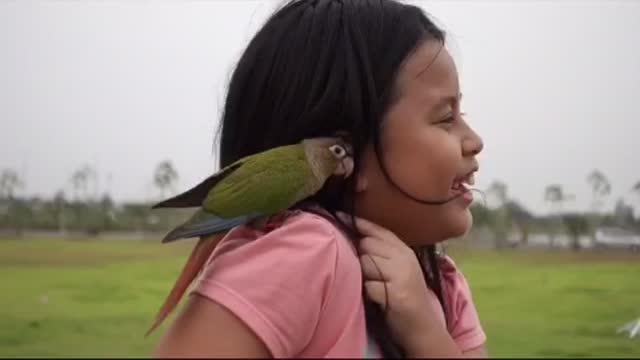 Dodo and Sister is Good Friend