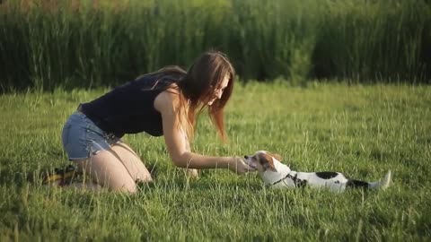 Dog training