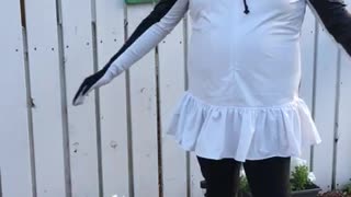 Gentoo Penguin Cosplay Twirl