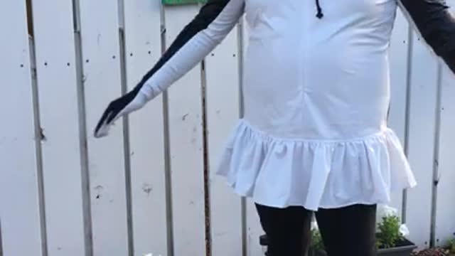 Gentoo Penguin Cosplay Twirl