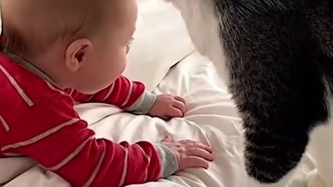 Cute baby viral vedio