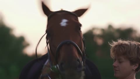 The horse twists his head funny