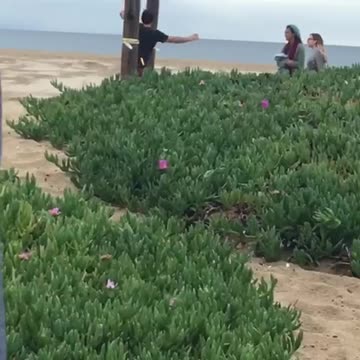 Man on yellow balance rope on beach