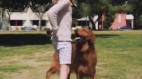 Me And My Big Doge Are Playing In Ground