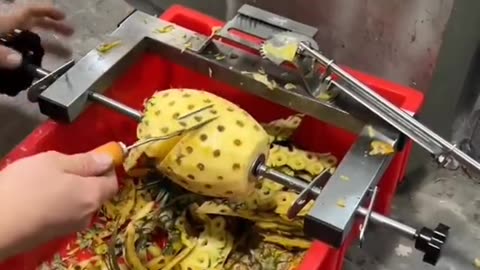 Pineapple cutter