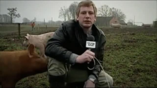 Funny animals on the farm will make you laugh no doubt!!!