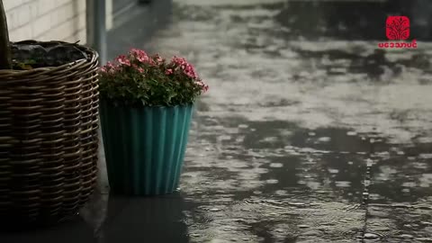 Peaceful and Soothing Music: With Rain Sound