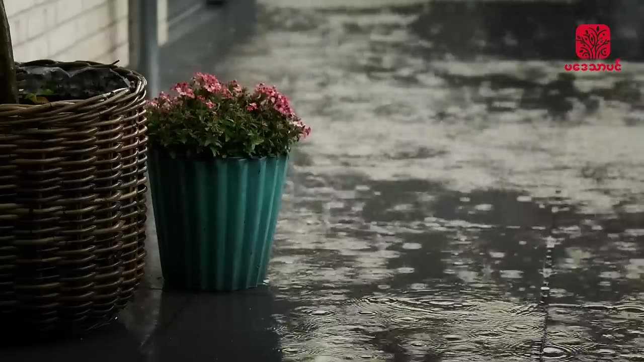 Peaceful and Soothing Music: With Rain Sound