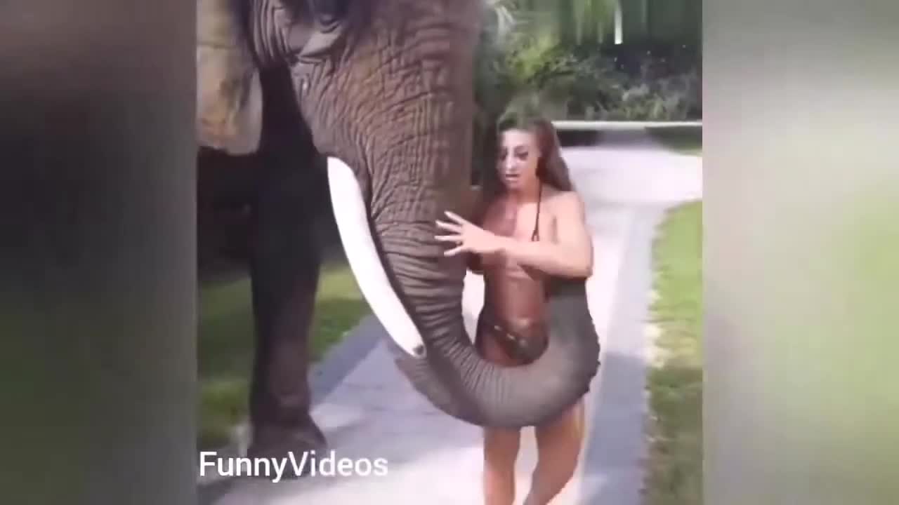 Animals Fails _Funny video.. Watch till the end..