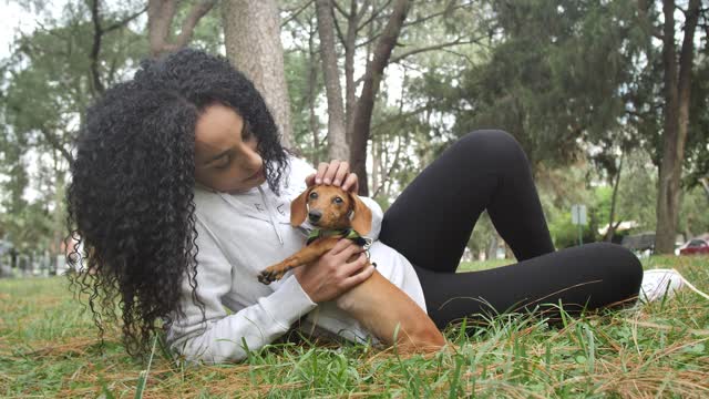 Taking care of your dog in the park