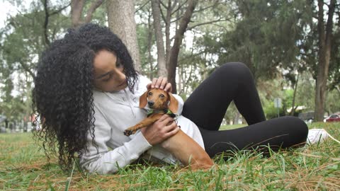 Taking care of your dog in the park