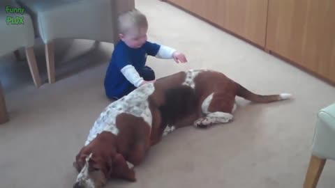 Big dog is playing with baby