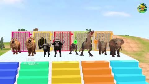 Choose the right stair game with Elephant Gorilla Lion Buffalo T - rex Wild animal Game