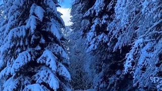Beautiful Nature -. Snow