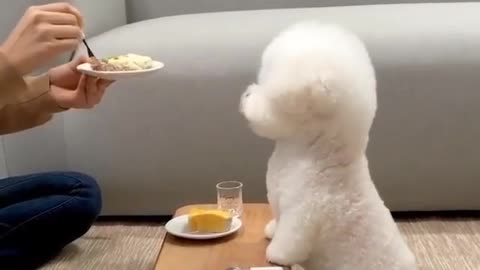 Food time
