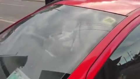 Foreign man driving around with no tax or insurance tried to kick an Irish man