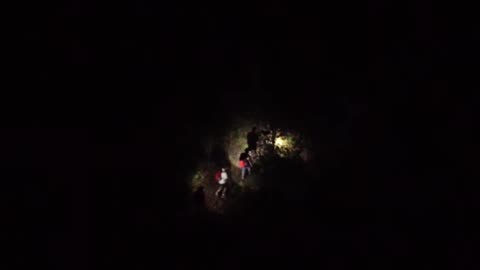 Lost in the Dark Forest: A Thrilling Night Adventure