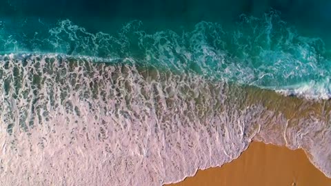 the sea